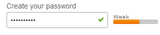 eBay's password strength meter